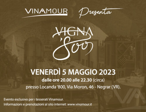 Vinamour presenta: Vigna ‘800